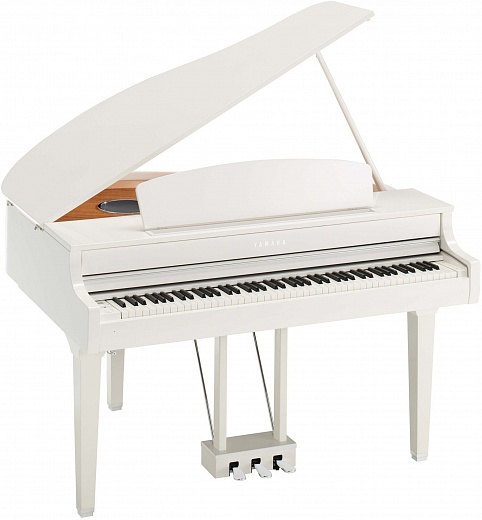  CLP-695GP-photo